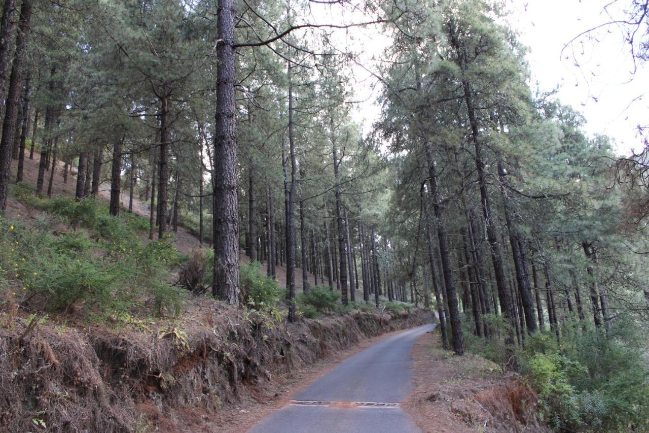 Vila Finca El Cole Las Palmas de Gran Canaria Exteriér fotografie