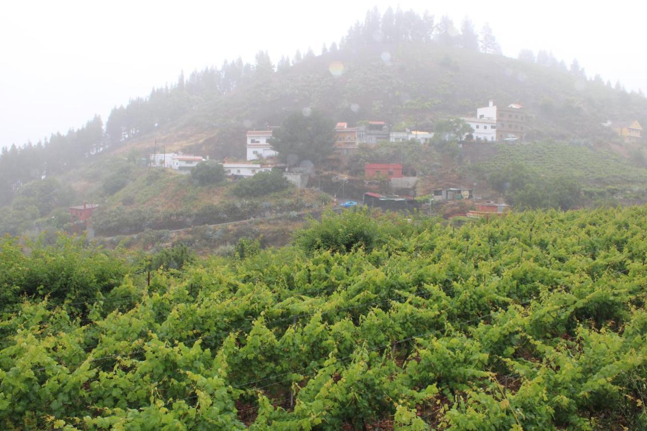 Vila Finca El Cole Las Palmas de Gran Canaria Exteriér fotografie