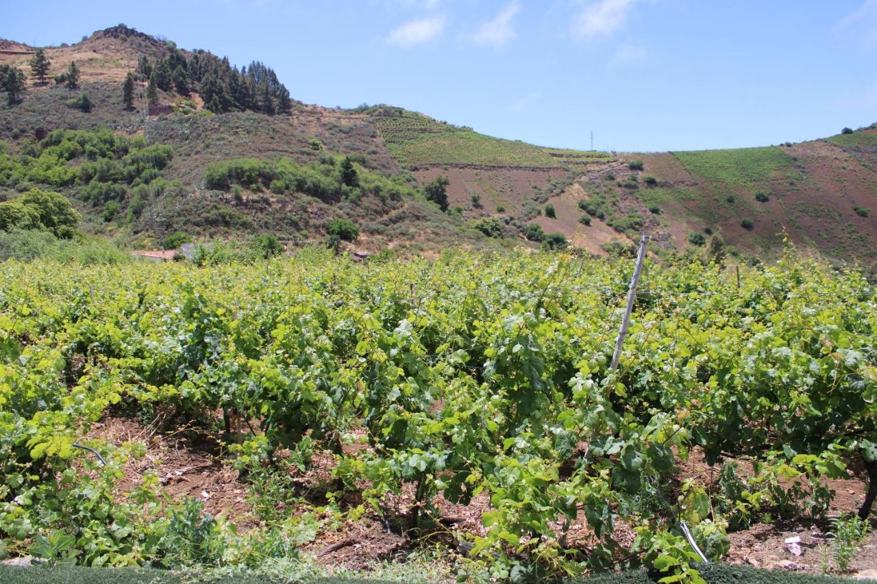 Vila Finca El Cole Las Palmas de Gran Canaria Exteriér fotografie