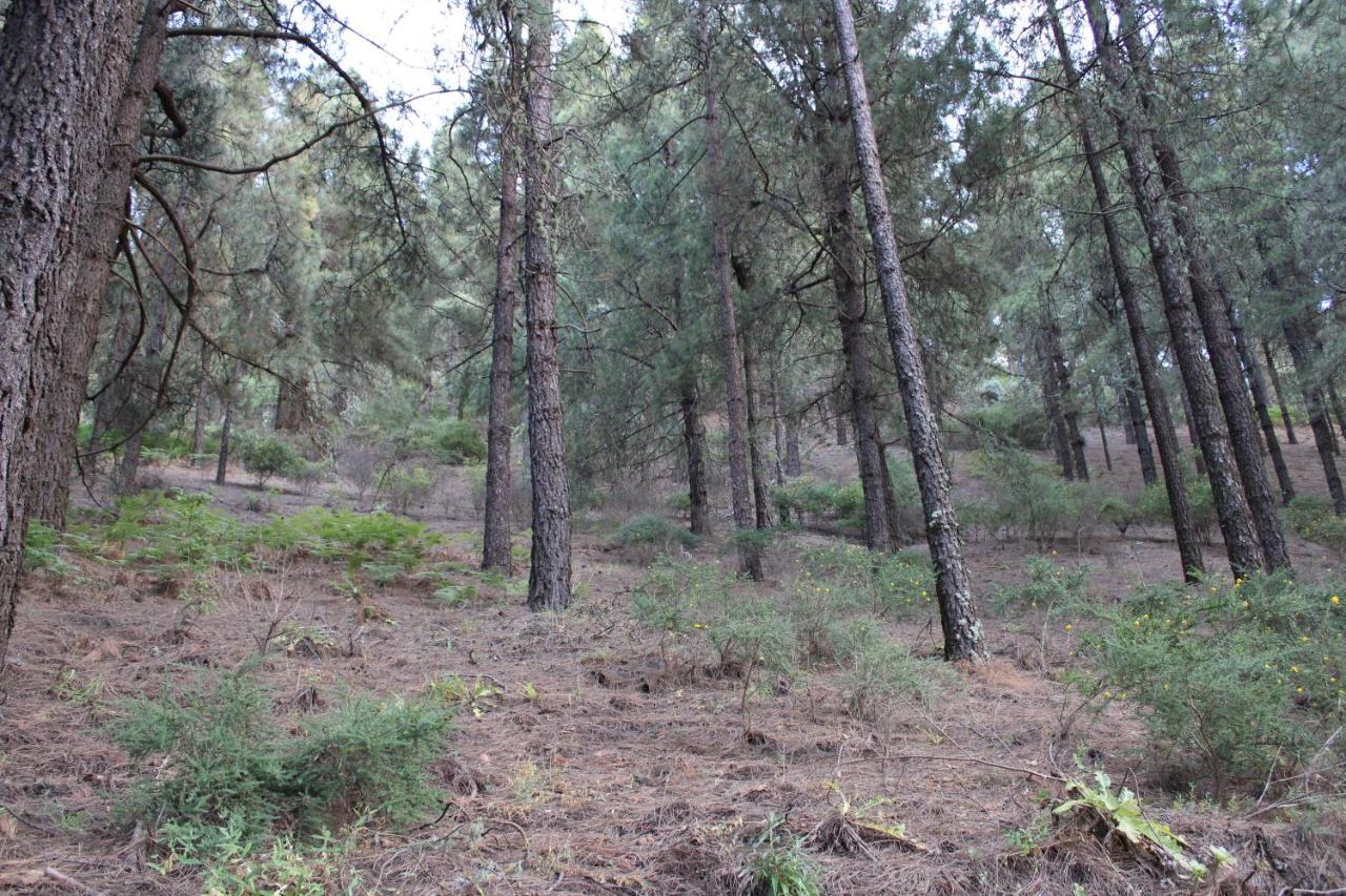 Vila Finca El Cole Las Palmas de Gran Canaria Exteriér fotografie