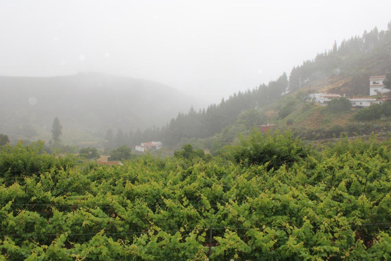 Vila Finca El Cole Las Palmas de Gran Canaria Exteriér fotografie